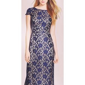 Eliza J. Cap Sleeve Lace Illusion Dress